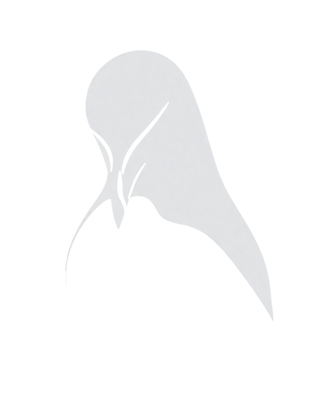 Razorbill